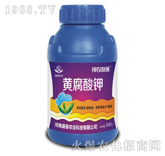 �S�����-���r(n��ng)����-ʢ���r(n��ng)�I(y��)