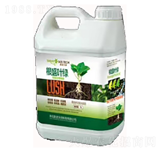 ��ʢ�~�G-˹�Z����