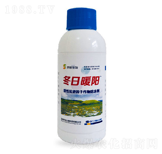 ���Կ����������������-����ů�-�S������