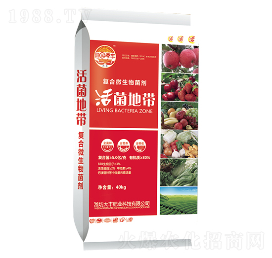 �ͺ�΢�������-����؎�-��@���S-���S�ʘI(y��)