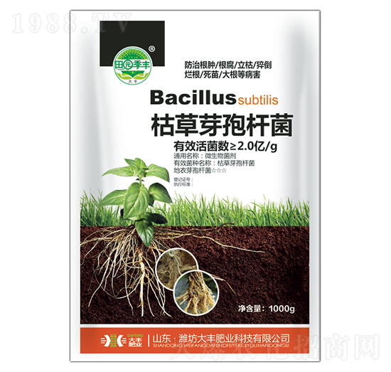 �ݲ�ѿ�ߗU��-��@���S-���S�ʘI(y��)