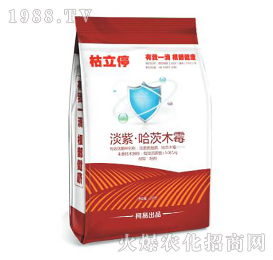 ���ϡ�����ľù��-����ͣ-����ֲ��