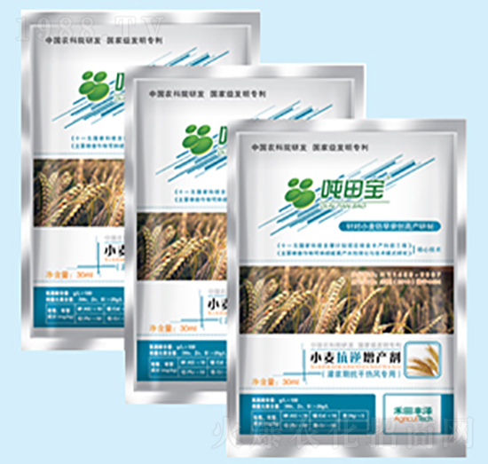 С�����{�ڌ�����-���-�����S��