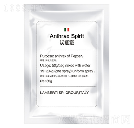 ̿���`-�����Ƽ�