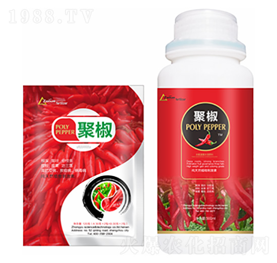 �۽�-�����Ƽ�