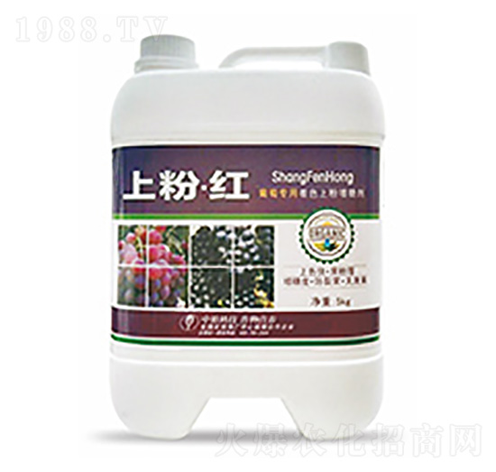 �Ϸۡ��t-�����Ƽ�