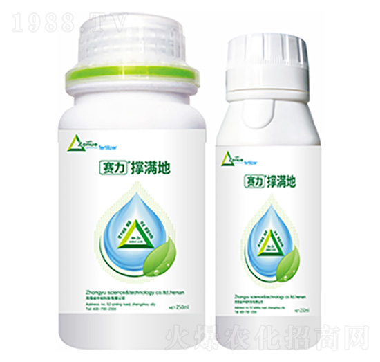 �ΝM��-�����Ƽ�