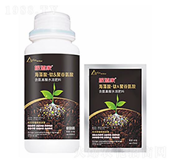 ������-�����Ƽ�