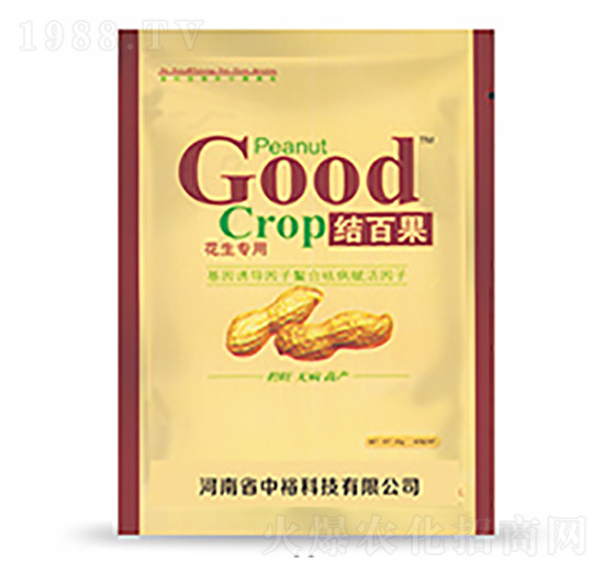 �Y(ji��)�ٹ�-�����Ƽ�