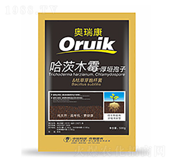 �W��-�����Ƽ�