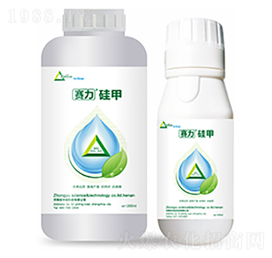 ِ�����-�����Ƽ�