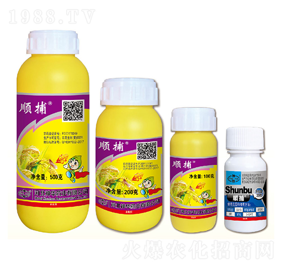 30%���xຑҸ���-혲�-���A