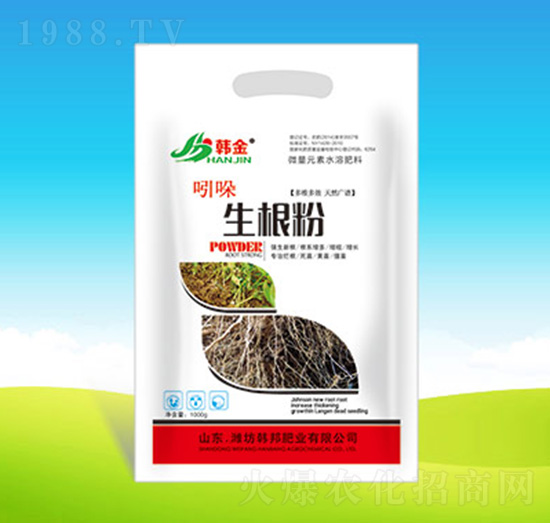 ����������-�n��ʘI(y��)