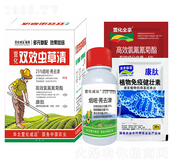 �pЧ�x����-�滯���h