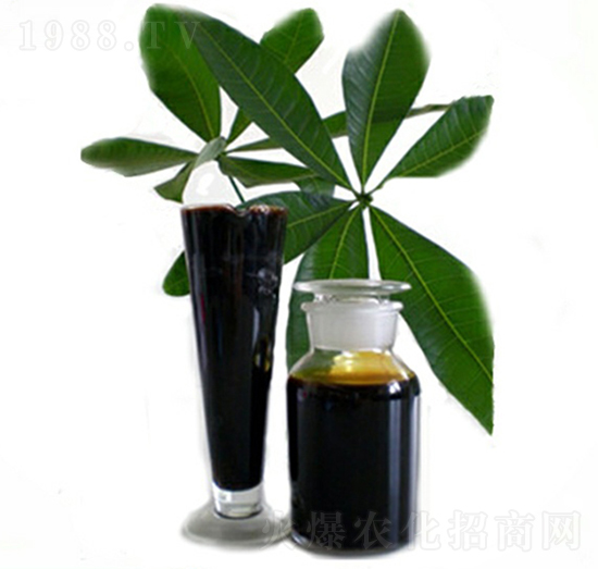 ʳ�ü��S����ԭҺ������ʯԭҺ��-ʥ��һ��