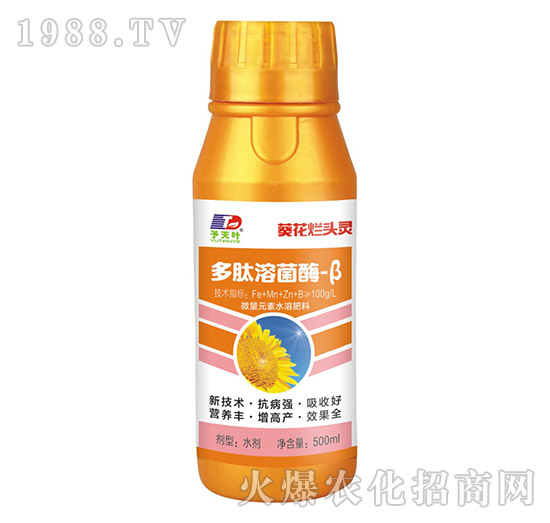 �����ܾ�ø-��-�������^�`-���~����