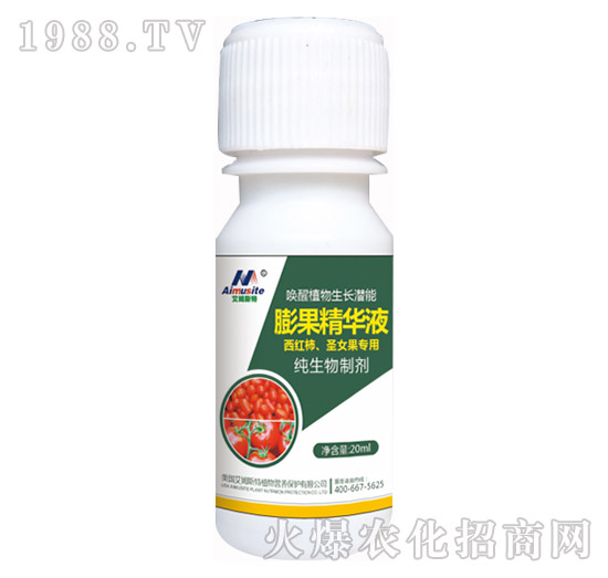 �������Ƅ�-���t����ʥŮ������-��ķ˹��