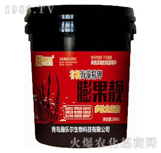 ����n-嫘���