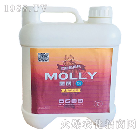 ī���~���}-����