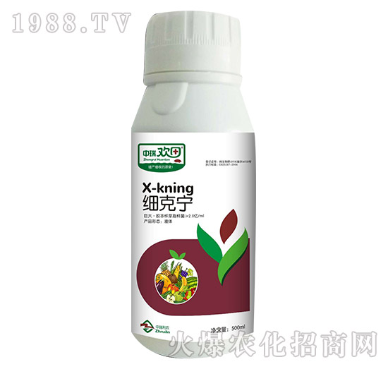 ���ˌ�-����g��-�������r(n��ng)