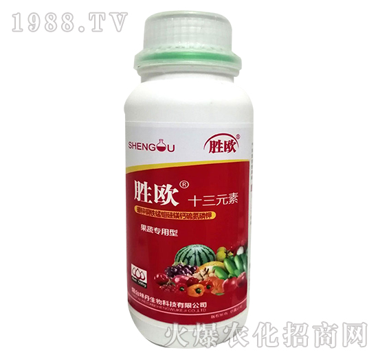 ʮ��Ԫ��-�ٚW-ζ������