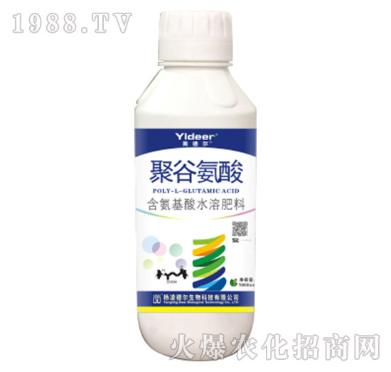 �۹Ȱ���-� �����