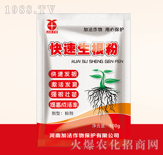 ����������-�ӷ�����