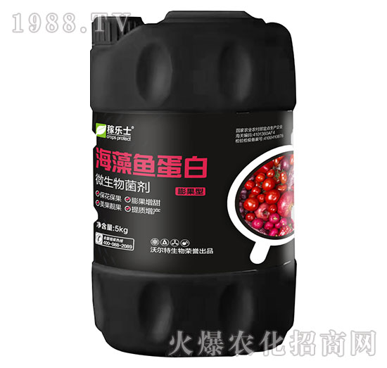 ����ͺ����~(y��)����-�ژ�(l��)ʿ