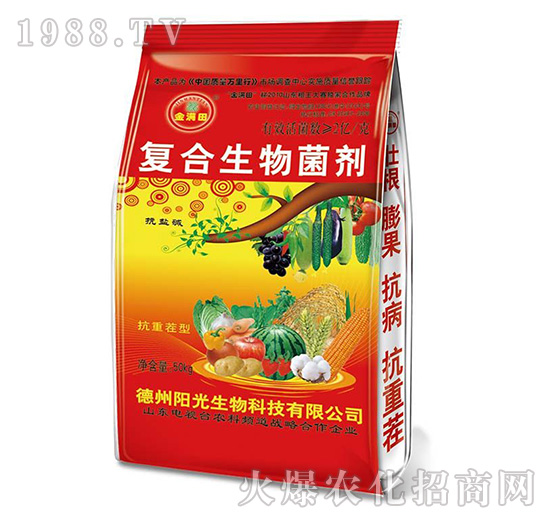 ��M��ͺ�����������t��-ꖹ�����