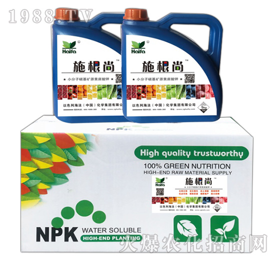 ʩ����-����