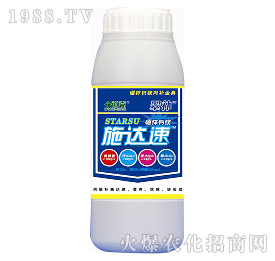 ʩ���_-���a-����