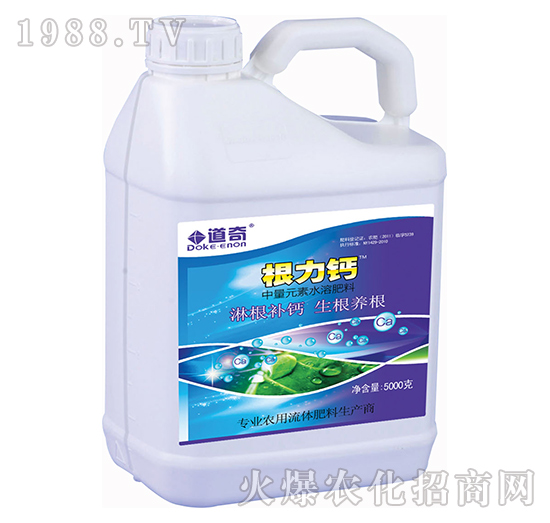 �����}-����