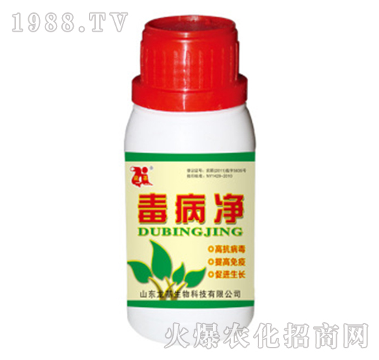 ������-��������