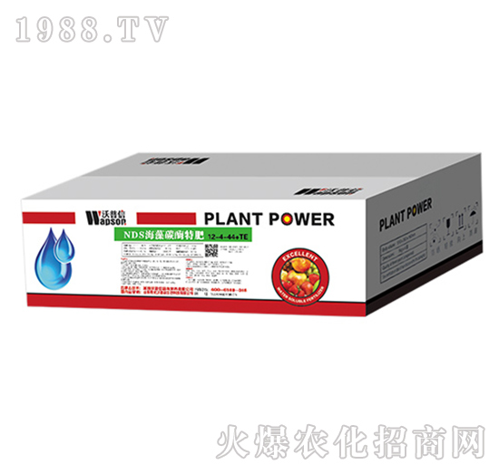 NDS����̼ø�ط�12-4-44+TE-������