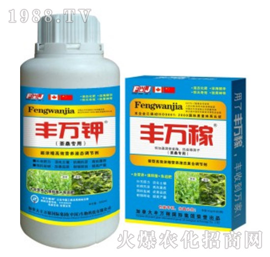 ��ɣ���ø�Ч�I(y��ng)�B(y��ng)Һ�B(t��i)�{(di��o)��(ji��)��-�S�f��