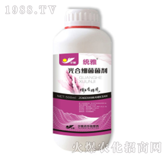 ��ϼ�������-�y(t��ng)��-Ǭ�r(n��ng)