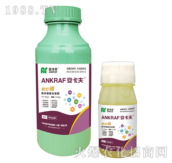 �Ǵ���-������