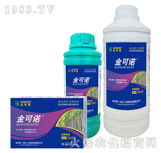 ���ጣ��-����Z