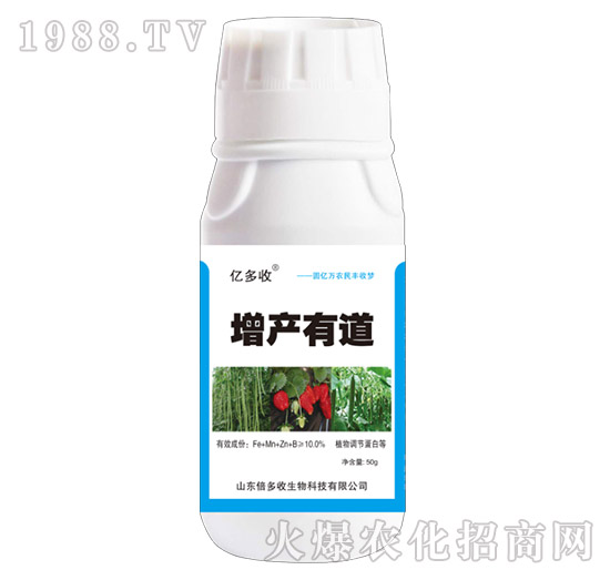 ���a(ch��n)�е�-������