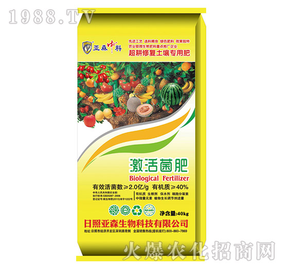 �������-��ɭ����