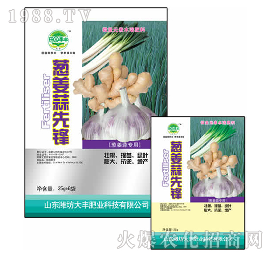 25g�[�������h-��@���S-���S�ʘI(y��)