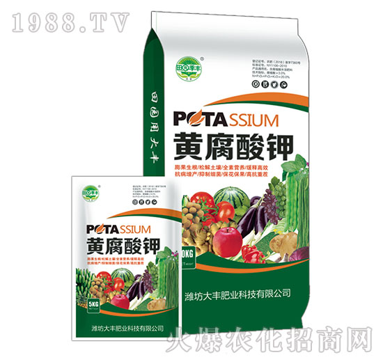 �S�����-��@���S-���S�ʘI(y��)