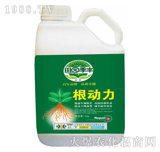 ������-��@���S-���S�ʘI(y��)