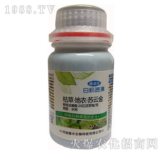 �ݲݡ����¡��K�ƽ�-�׷�����-���S����