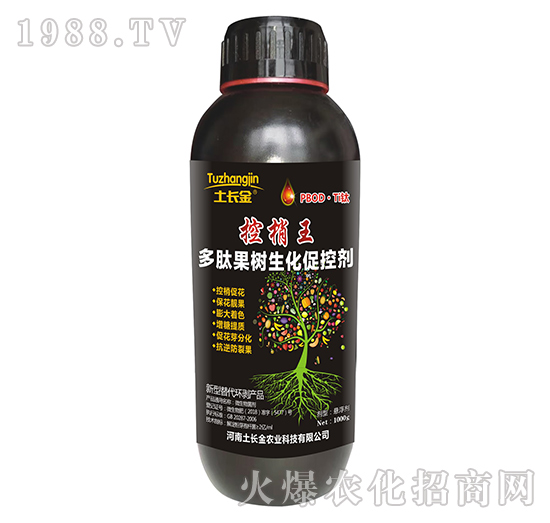 ���Ĺ��������ٿ؄�-������-���L��