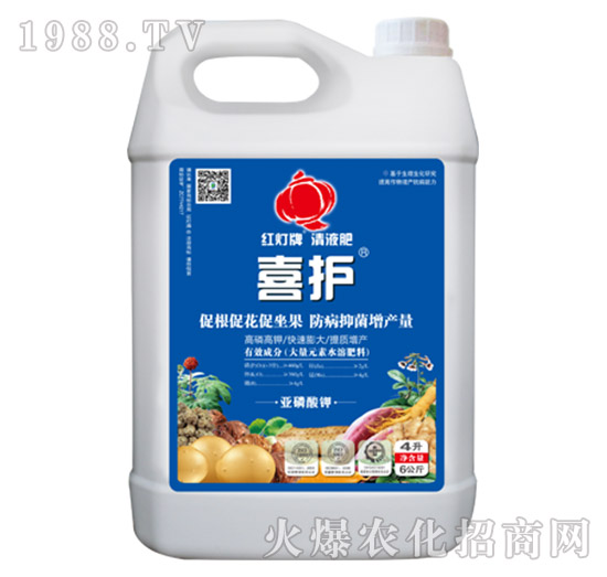 ϲ�o(h��)-������