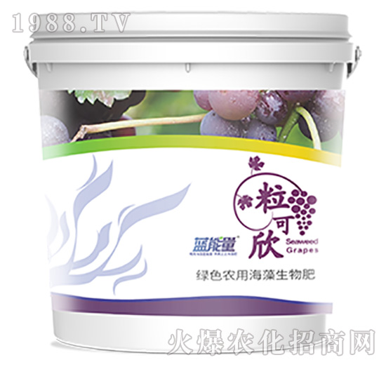 ������-�{(l��n)����