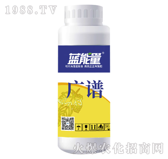 �V�V-�{����