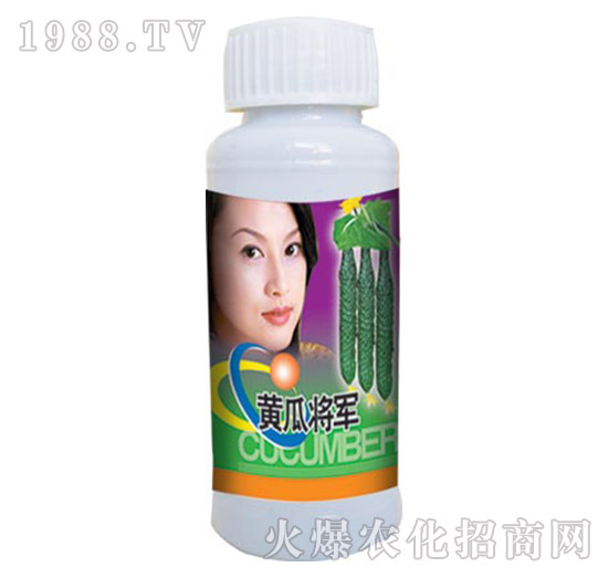 �S�ό�܊-�μ�