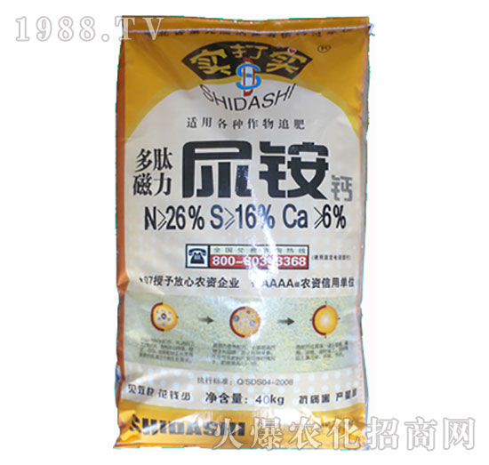 ���Ĵ������@�}-����